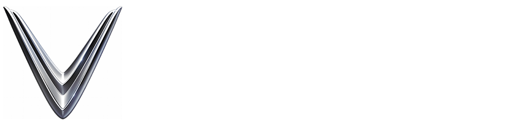 Raaja VinFast EV Bangalore